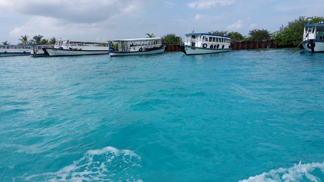 India y Maldivas - 31 días por libre - Blogs de Sub Continente Indio - Maldivas! Rasdhoo y Diffushi excelentes! Maafushi me decepcionó (13)