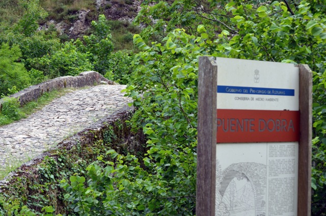 Vacaciones en Asturias y Cantabria - Blogs de España - Lagos de Covadonga y Olla de San Vicente (49)