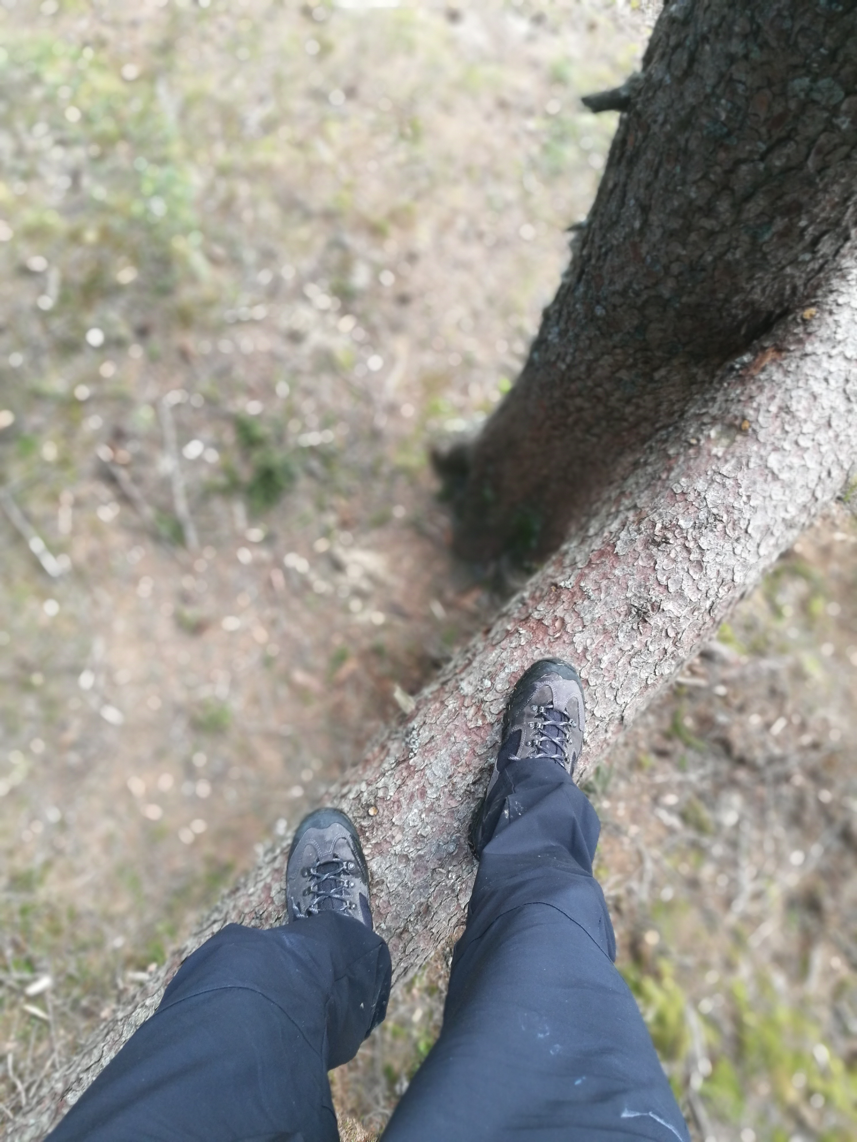 Slika
