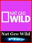 Nat_Geo_Wild