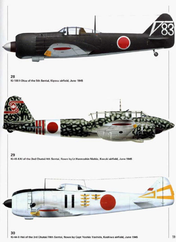 Perfiles de Aviones de las Unidades Antibombardero Japonesas