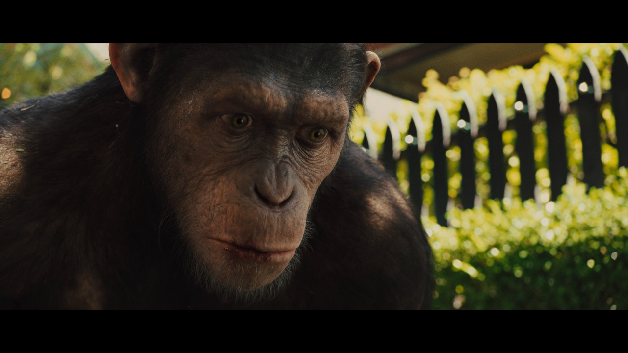 rise_of_the_planet_of_the_apes_34
