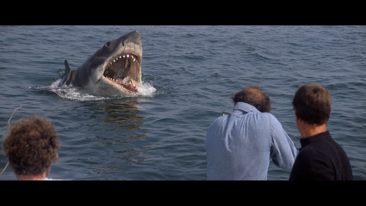 jaws_35