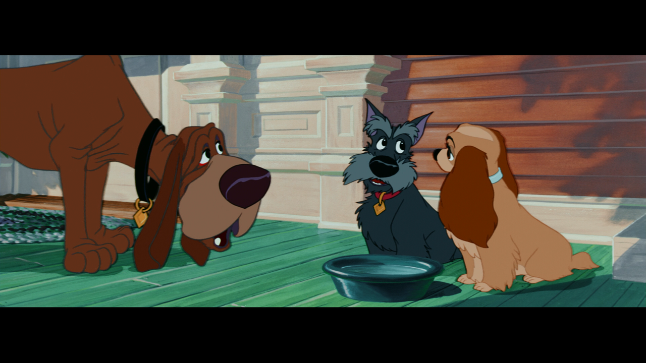 lady_and_the_tramp_10