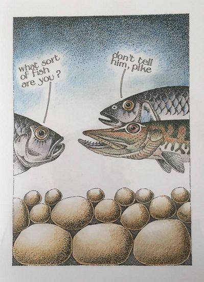 Fish.jpg