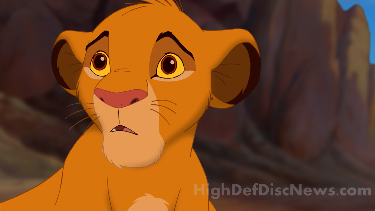 the_lion_king_23