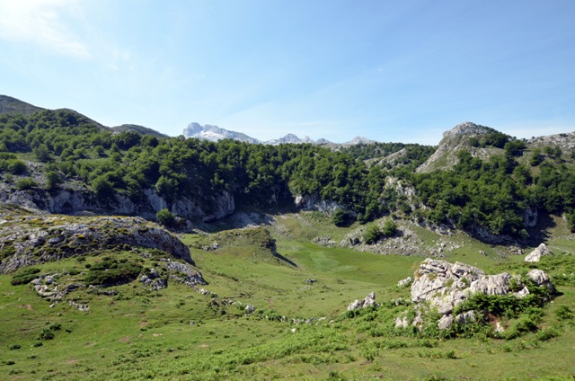 Vacaciones en Asturias y Cantabria - Blogs de España - Lagos de Covadonga y Olla de San Vicente (19)