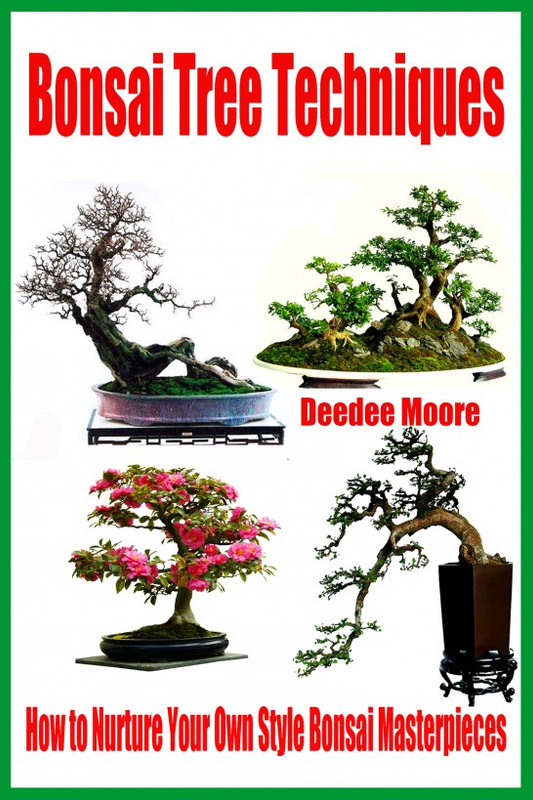 Bonsai Tree Techniques: How to Nurture Your Own Style Bonsai Masterpieces Bonsai Tree Techniques: How to Nurture Your Own Style Bonsai Masterpieces