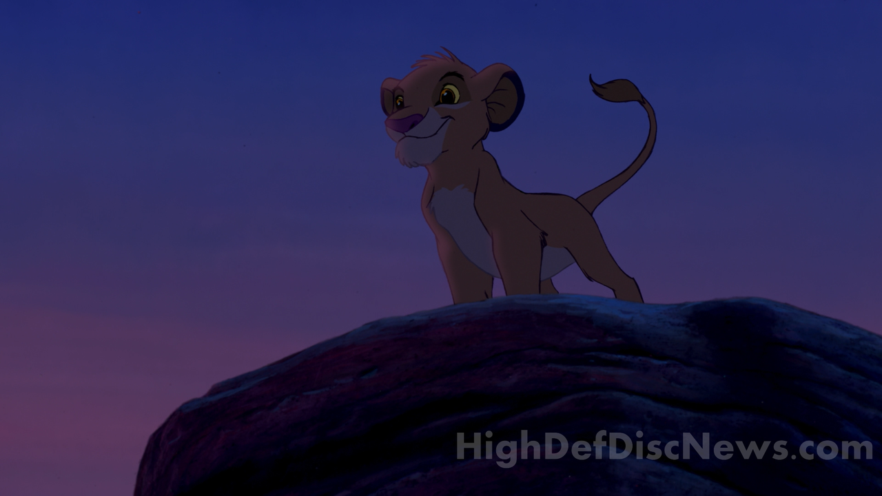 the_lion_king_14
