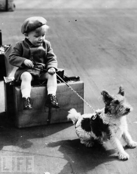 Esperando la evacuación, un niño refugiado sujeta a su perro con la correa en 1940. Aunque las mascotas suponían un volumen enorme de animales, sorprendentemente no fueron separados de sus familias durante la guerra, mientras los programas de cría y refugios de animales a menudo eran cerrados o pecaban de una excesiva desorganización