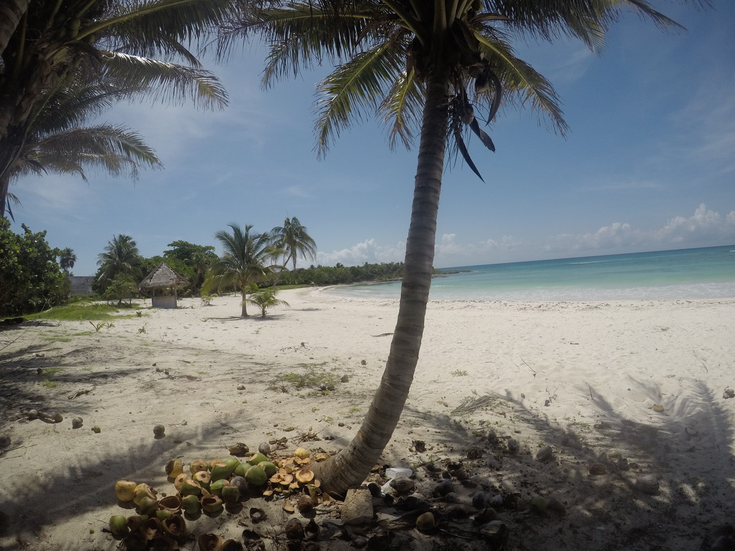 RIVIERA MAYA. Catalonia Royal Tulum Julio 2017 Only Adults. Un Paraiso!!!! - Blogs de Mexico - Dia 5:  *26 julio* Hotel y Cenote azul (3)