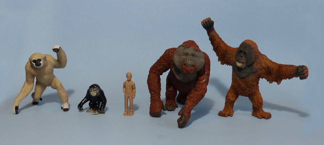 Gibbon 50146 Play Animal Figure by Papo Figures for sale online 