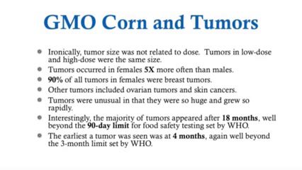 GMO Food It s Worse Than We Thought Dr Russell Blaylock
