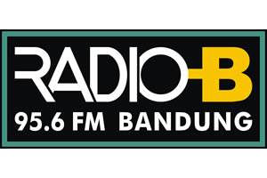 Media Partner