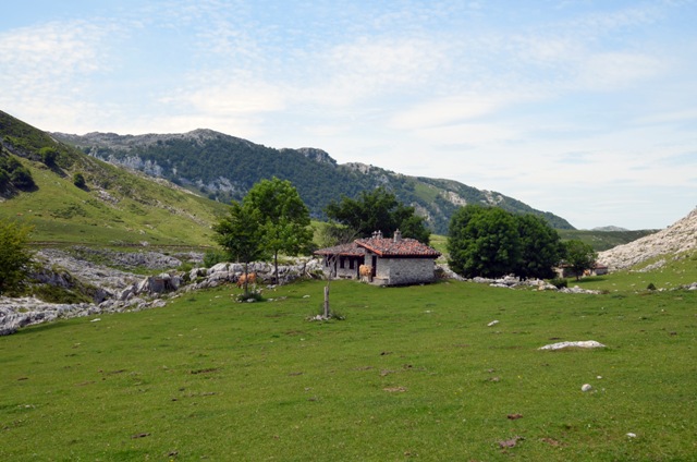 Vacaciones en Asturias y Cantabria - Blogs de España - Lagos de Covadonga y Olla de San Vicente (36)