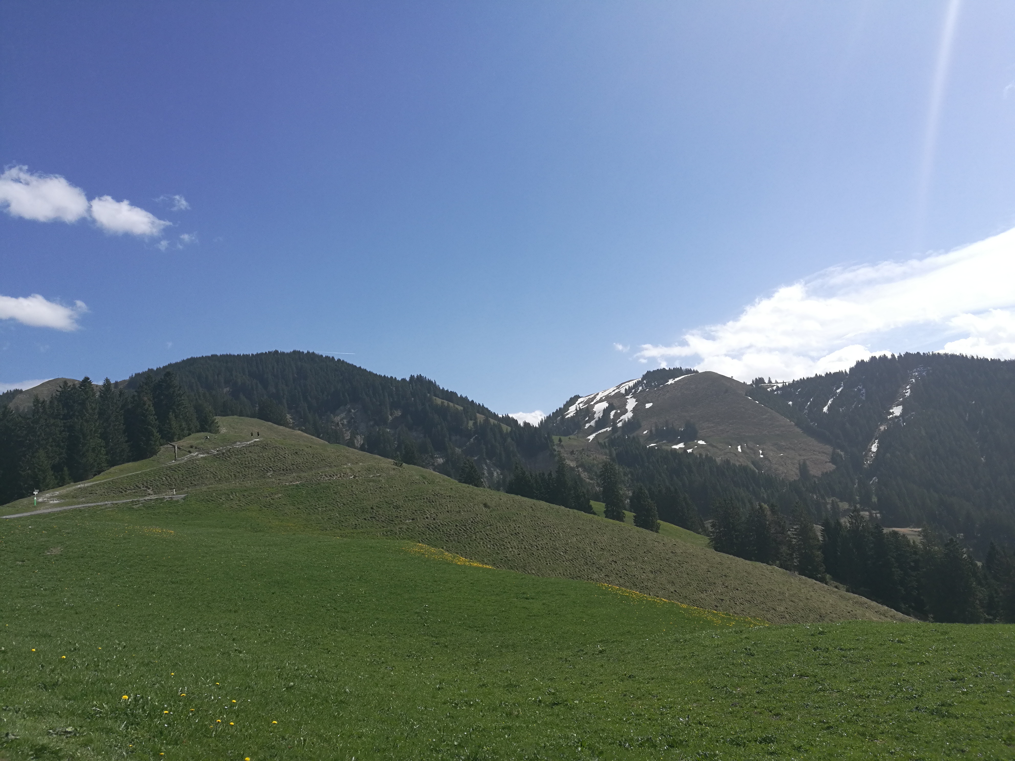Slika