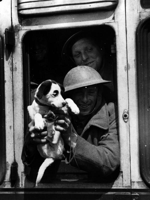 Un miembro de la Fuerza Expedicionaria Británica sonríe desde la ventana del tren con su mascota después de haber sido evacuado de vuelta a casa desde Francia