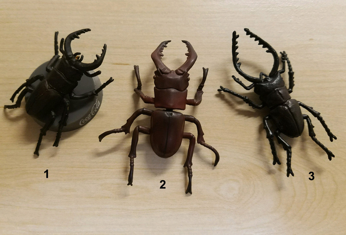 F-toys Insect Hunter Vol 18 Beetle x Stag Beetle Elephant Dorcus Titanus Set 